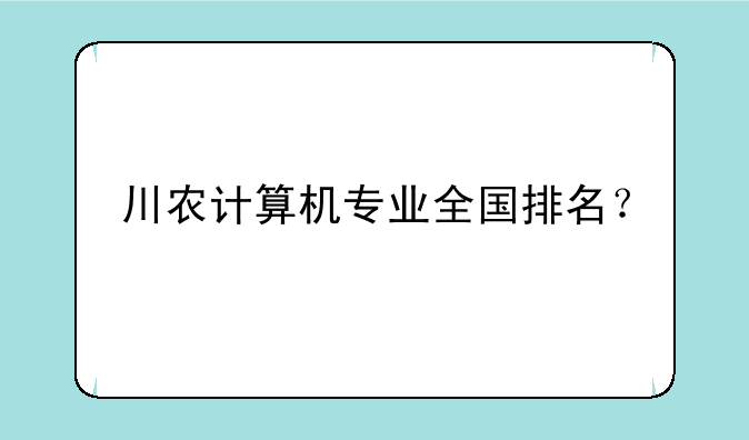 川农计算机专业全国排名？